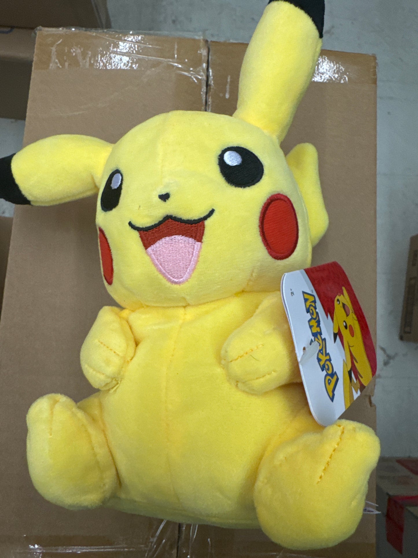Pokémon 8po Pikachu