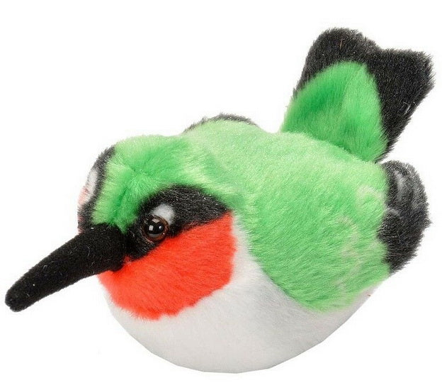 AUD II RUBY THROAT HUMMINGBIRD Ma boutique