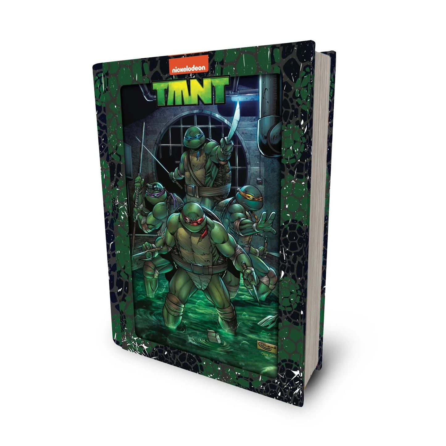 35642 | TMNT Prime 3D Jigsaw Puzzle 35642 300pc 12x18" 1di