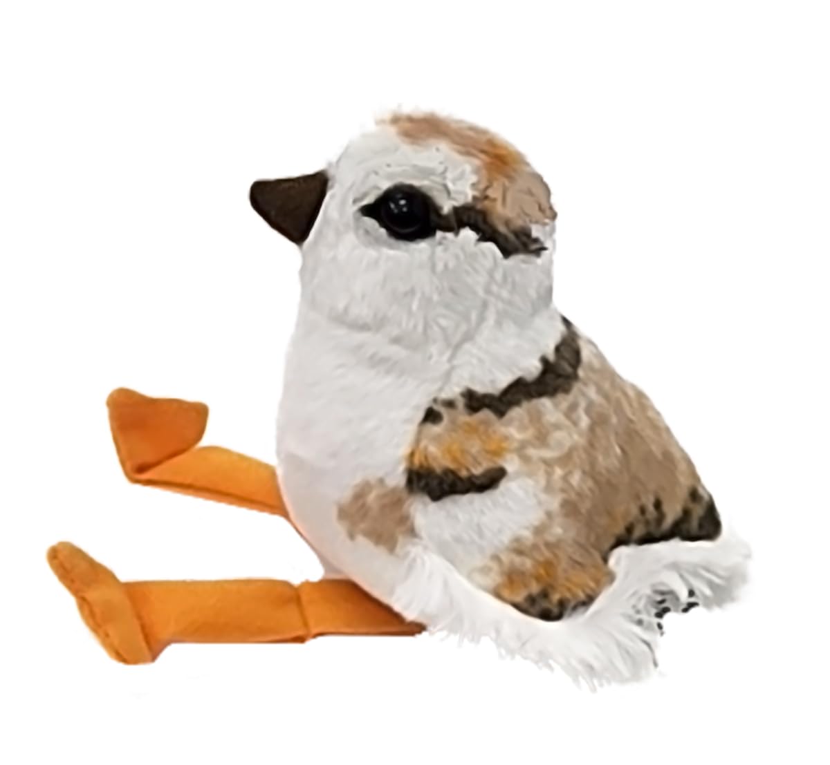 AUD II PIPING PLOVER CHICK Ma boutique