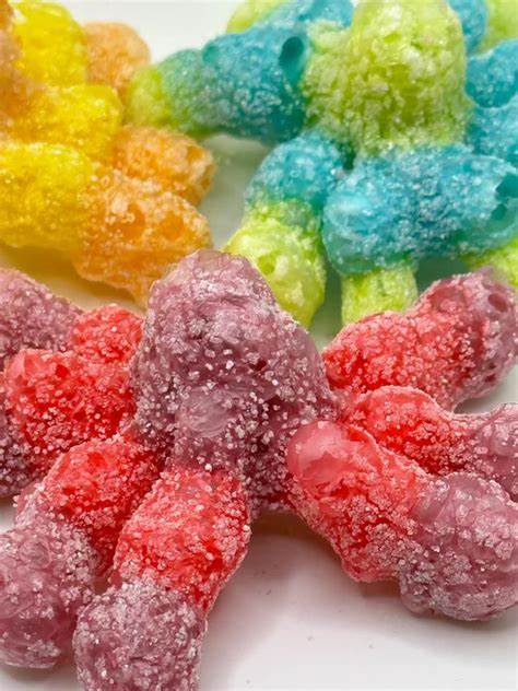 LYOPHILLISÉ ARAIGNÉE