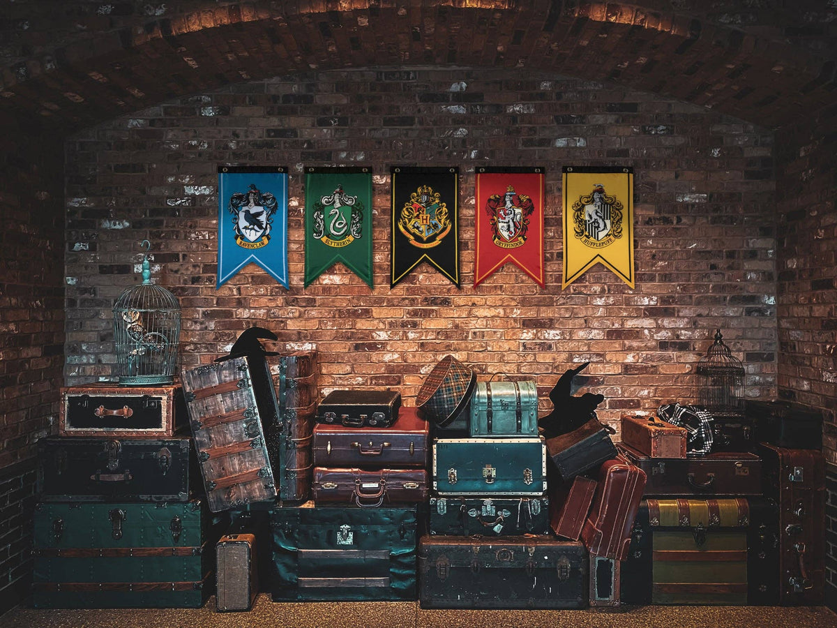 Ensemble de bannières et drapeaux Harry Potter Wizarding House (12 « x 20")