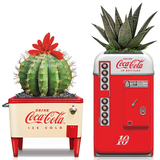 21 ALWAYS REFRESHING (2)