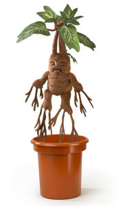 MANDRAKE HARRY POTTER Confiserie et cie