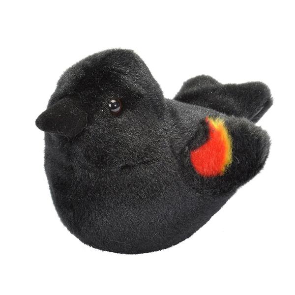 AUD II RED WINGED BLACKBIRD Ma boutique