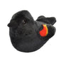 AUD II RED WINGED BLACKBIRD Ma boutique