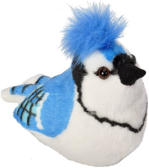 AUD II BLUE JAY Confiserie et cie