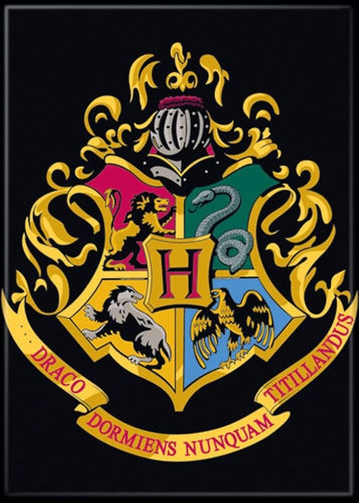 HARRY POTTER MAGNET Ma boutique