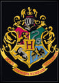 HARRY POTTER MAGNET Ma boutique
