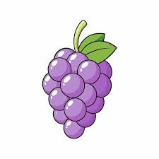 Slush raisin 500ml Vrac slush