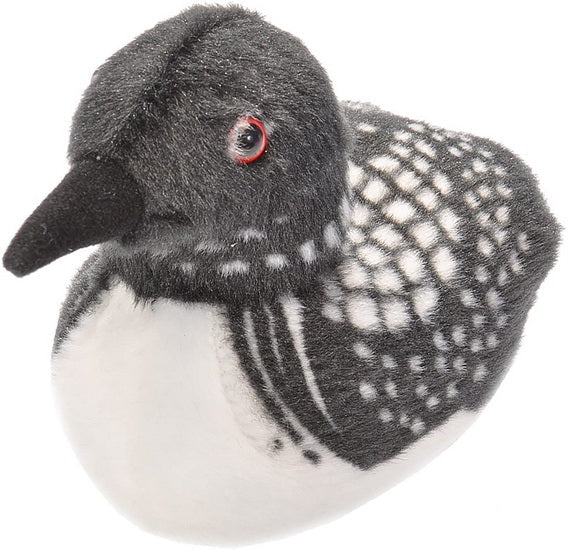 AUD II COMMON LOON Ma boutique