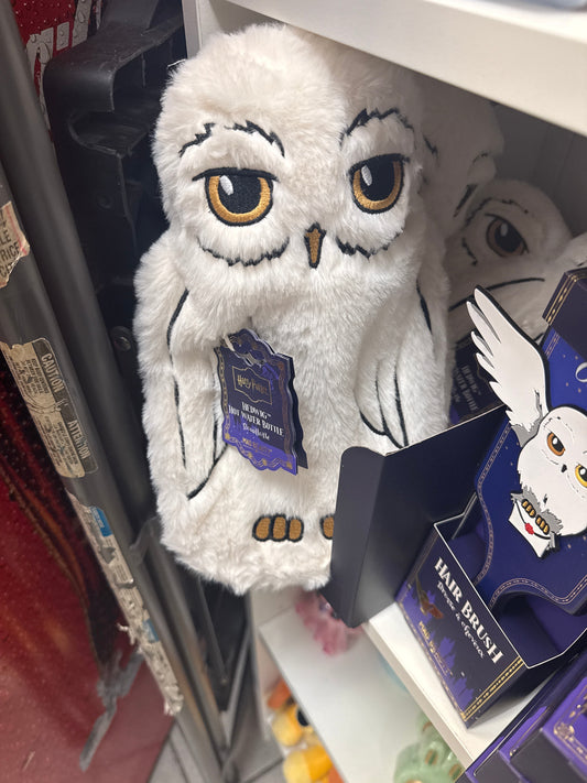 Warner Harry Potter - Hot water Mad beauty