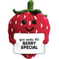 Strawberry - Crocheted Mini Pavilion gift