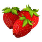 Slush fraise 500ml Vrac slush