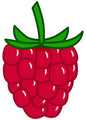 Slush framboise rouge 500ml Vrac slush