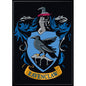 aimant harry potter ravenclaw Ata boy