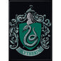 aimant harry potter slytherin