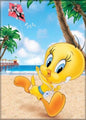 MAGNET LOONEY TUNES Ata boy