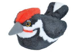 AUD II PILEATED WOODPECKER Ma boutique