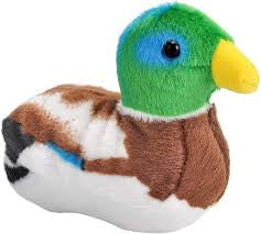 AUD II MALLARD DUCK