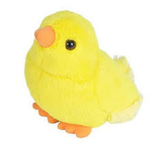 AUD II BABY CHICK Ma boutique