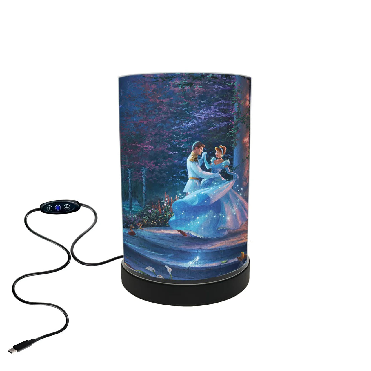 Disney (Cinderella Dancing in the Starlight) FilmPix™ Photo Insert