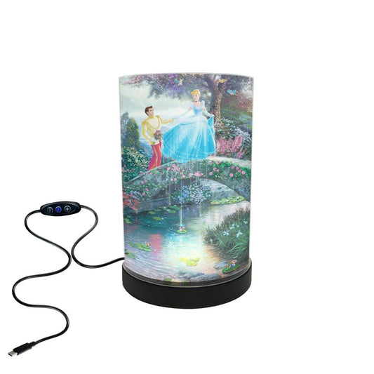 Disney (Cinderella Wishes Upon a Dream) FilmPix™ Photo Insert