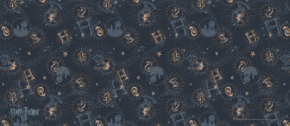 Harry Potter (Constellations) FilmPix™ Photo Insert
