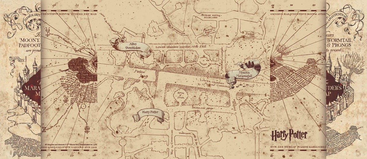 Harry Potter (Marauder's Map) FilmPix™ Photo Insert FilmCells