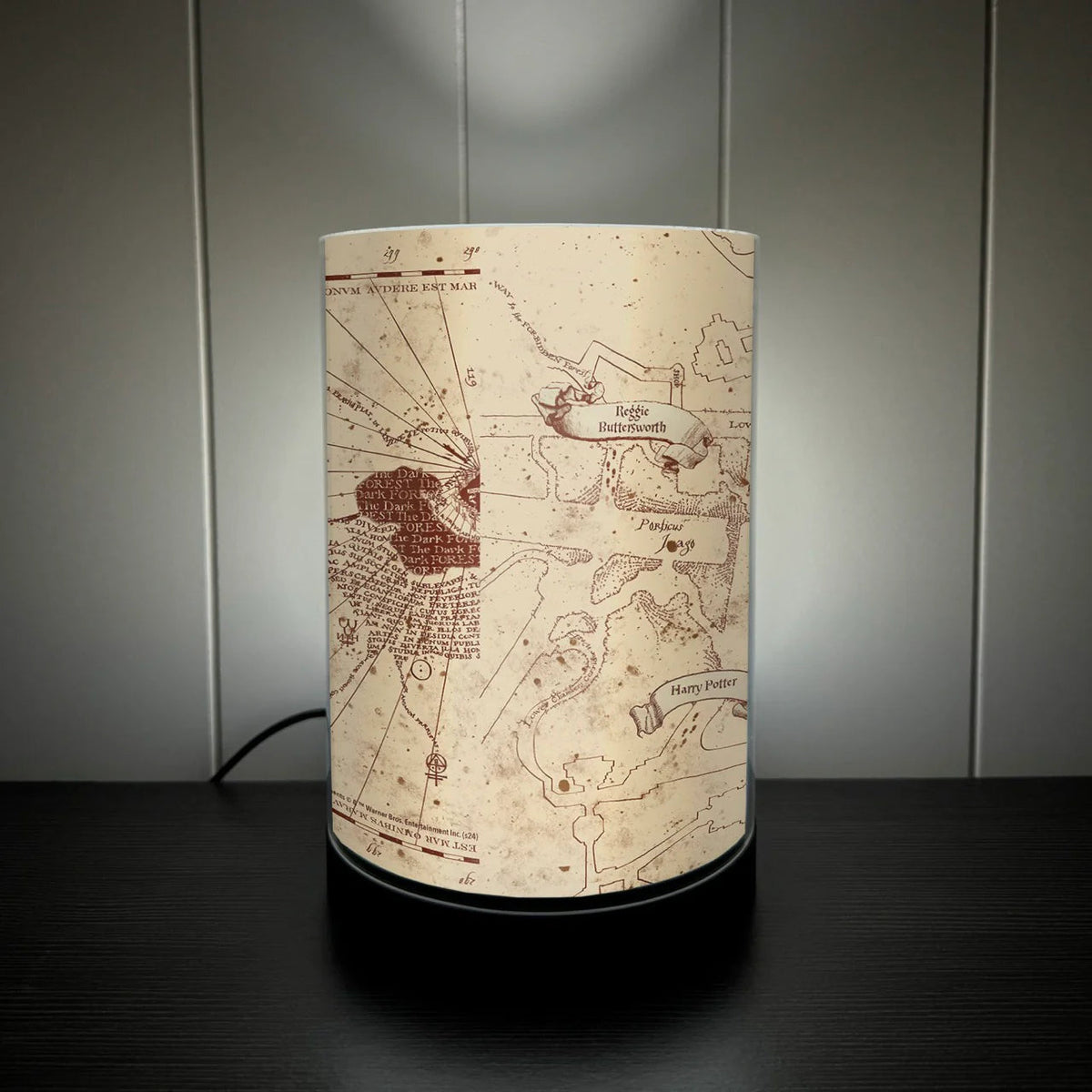 Harry Potter (Marauder's Map) FilmPix™ Photo Insert FilmCells