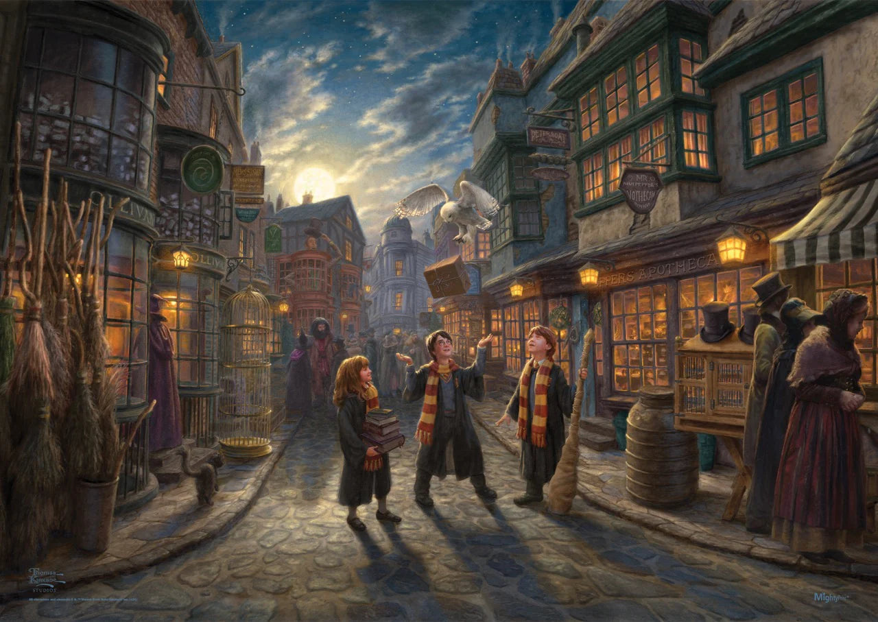 Harry Potter™ TKS (Diagon Alley™) MightyPrint™ Wall Art