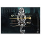 DARK wizard Wand set Grosnor