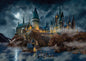 Harry Potter™ TKS (Hogwarts Castle) MightyPrint™ Wall Art