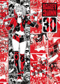 DC Comics (Harley Quinn - 30th Anniversary) MightyPrint™ Wall Art