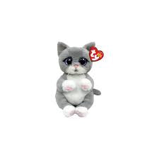 MORGAN - cat gray belly reg