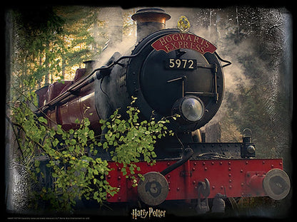 The Hogwarts Express Harry Potter 3D Jigsaw Puzzle 32506 500pc
24x18"