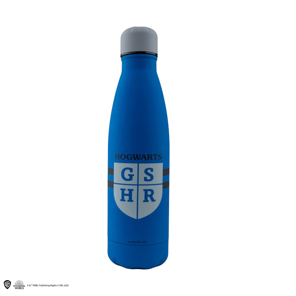 Let's Go Ravenclaw Insulated Water Bottle