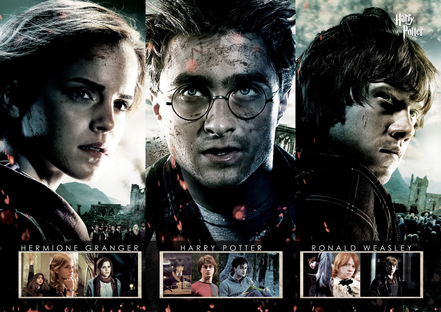 Harry Potter (Beginning to End) MightyPrint™ Wall Art