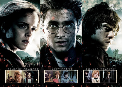 Harry Potter (Beginning to End) MightyPrint™ Wall Art