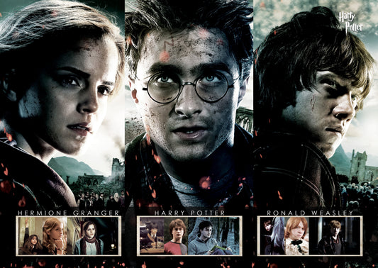 Harry Potter (Beginning to End) MightyPrint™ Wall Art